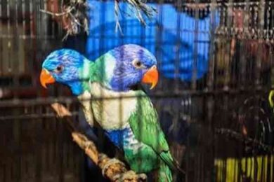 இலங்கை Madawala News